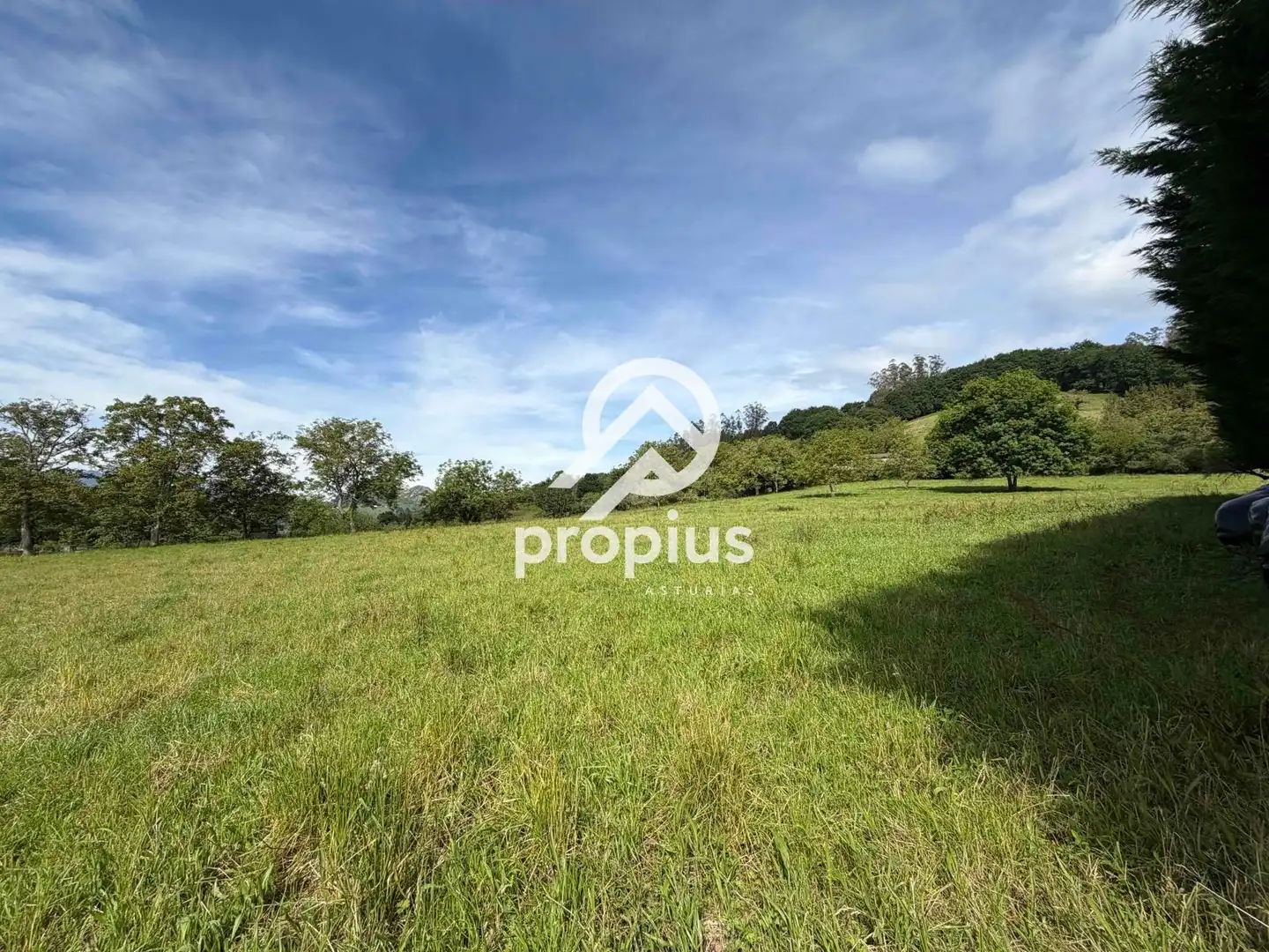 Rural land for sale in Bode, imagen 22