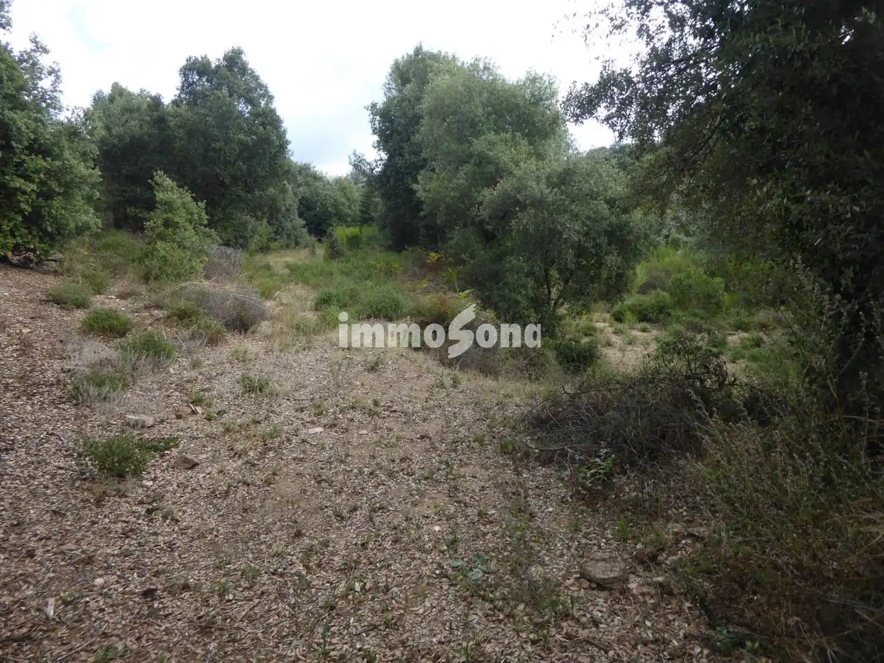 Terreno rústico en venta en Sant Hilari Sacalm, imagen 23