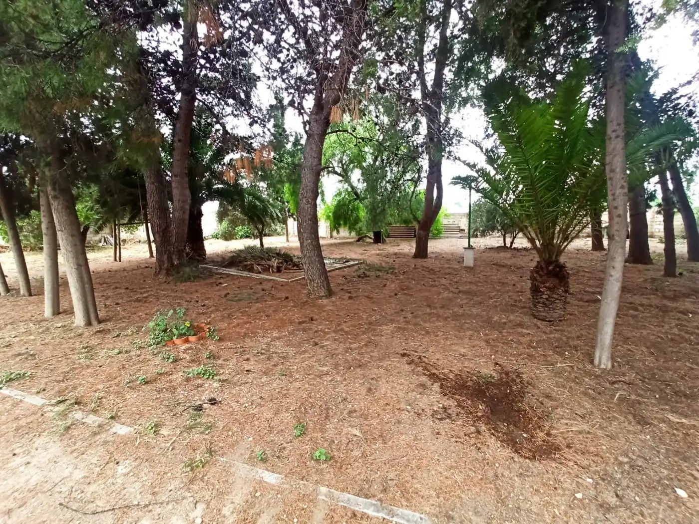 Terrenos y solares en venta en Hellín, imagen 4