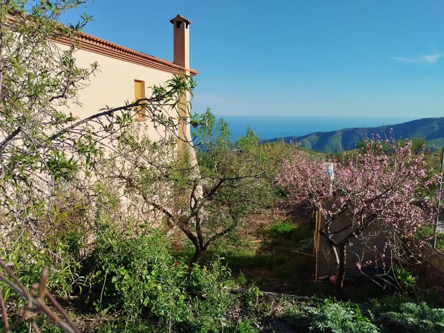 Casa rústica amb terrassa en venda a Camino Polígono 19 Parcela 224 ERMITA. ALBONDON (GRANADA, imagen 61