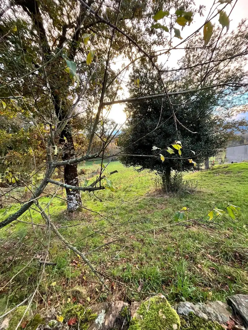 Terrenys i solars en venda a Lalín, imagen 6