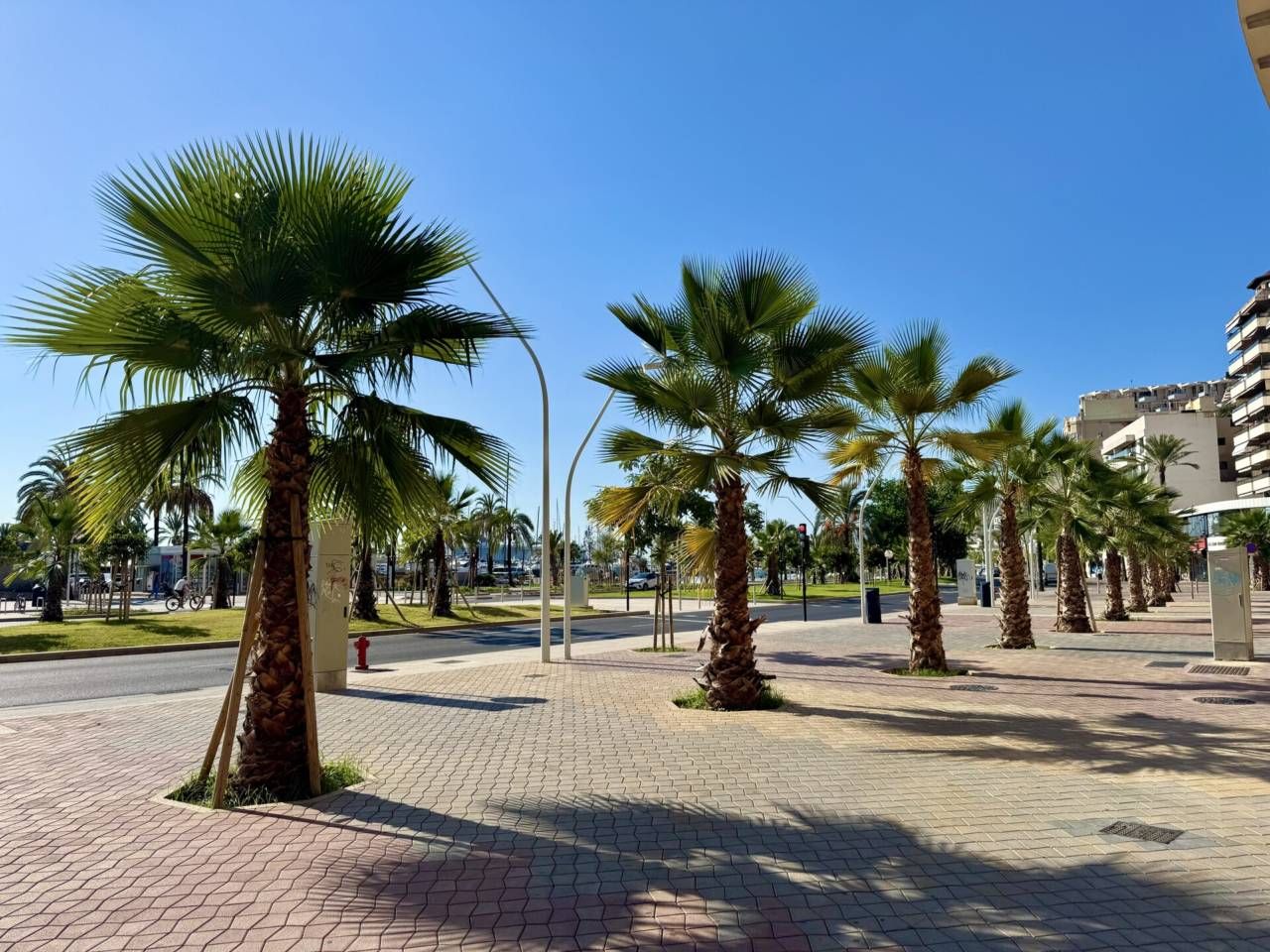 Exterior view of Premises for sale in  Palma de Mallorca  with Alarm