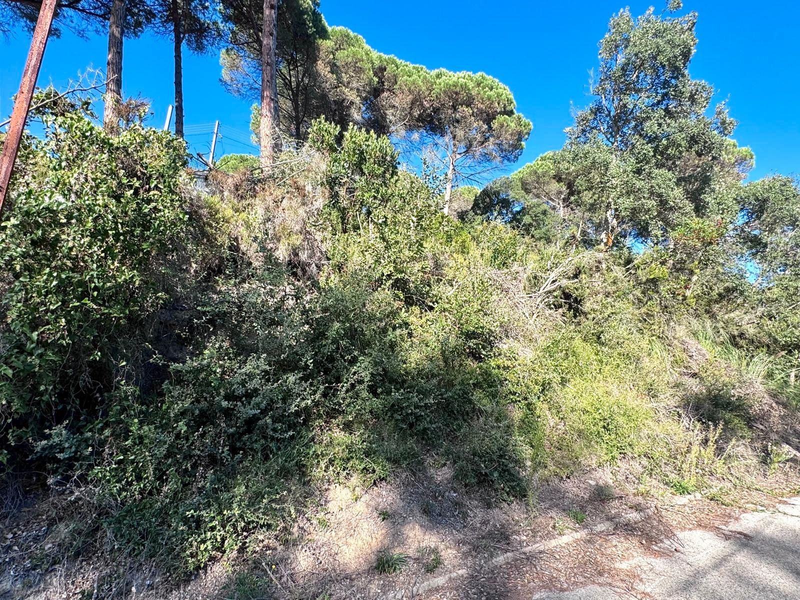 Residential zum verkauf in Vidreres