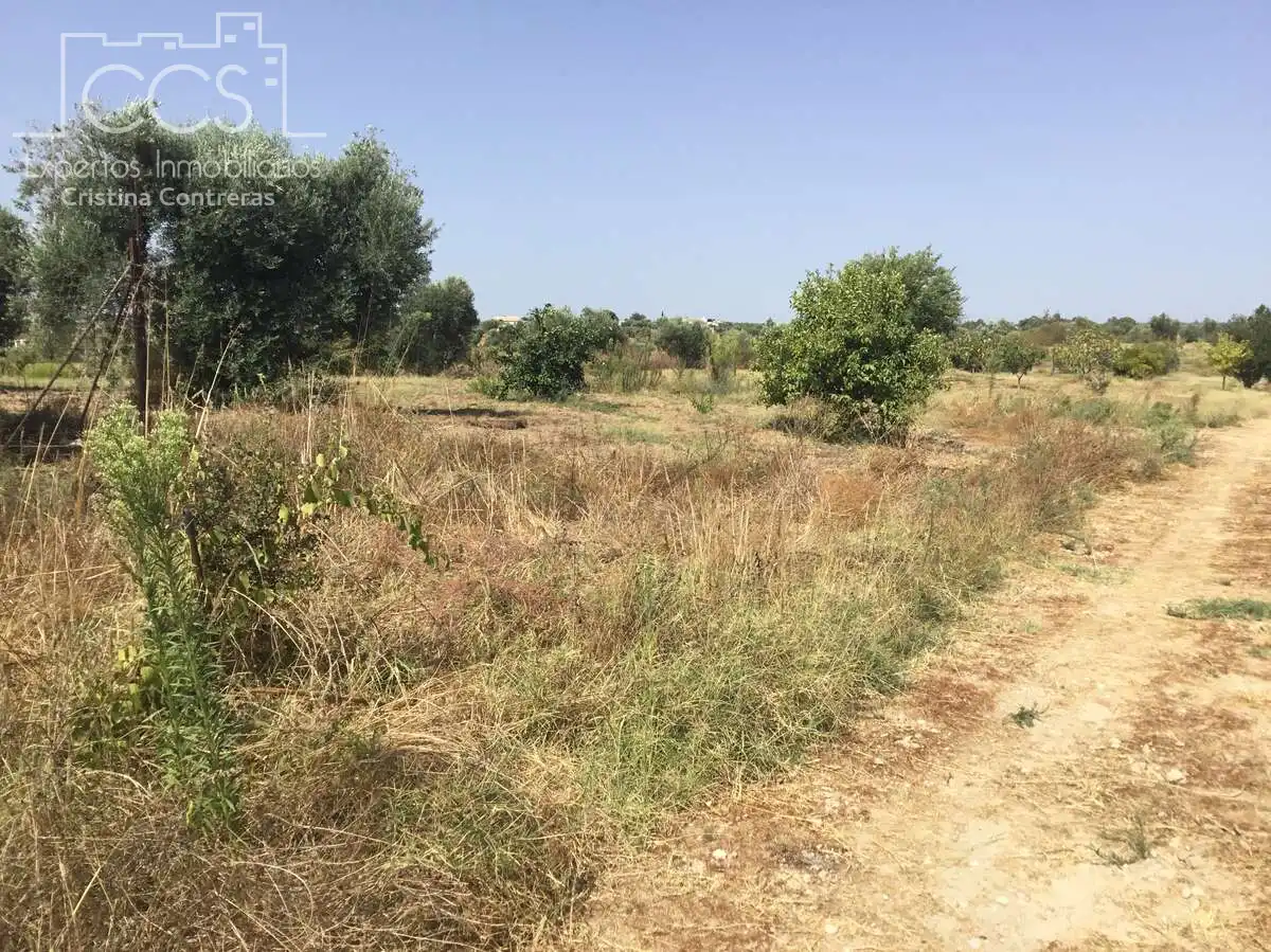 Terrain rustique à vendre à Almonte ciudad, imagen 16