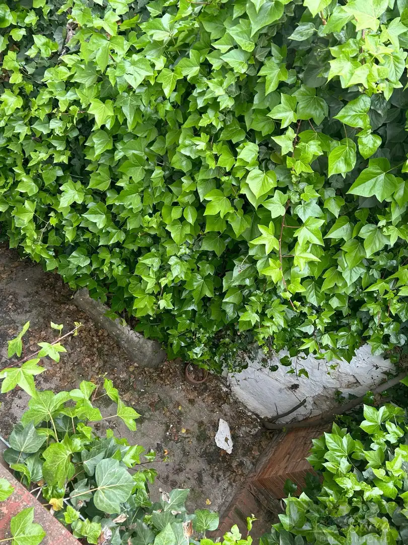 Haus zum Verkauf in Rute, imagen 25