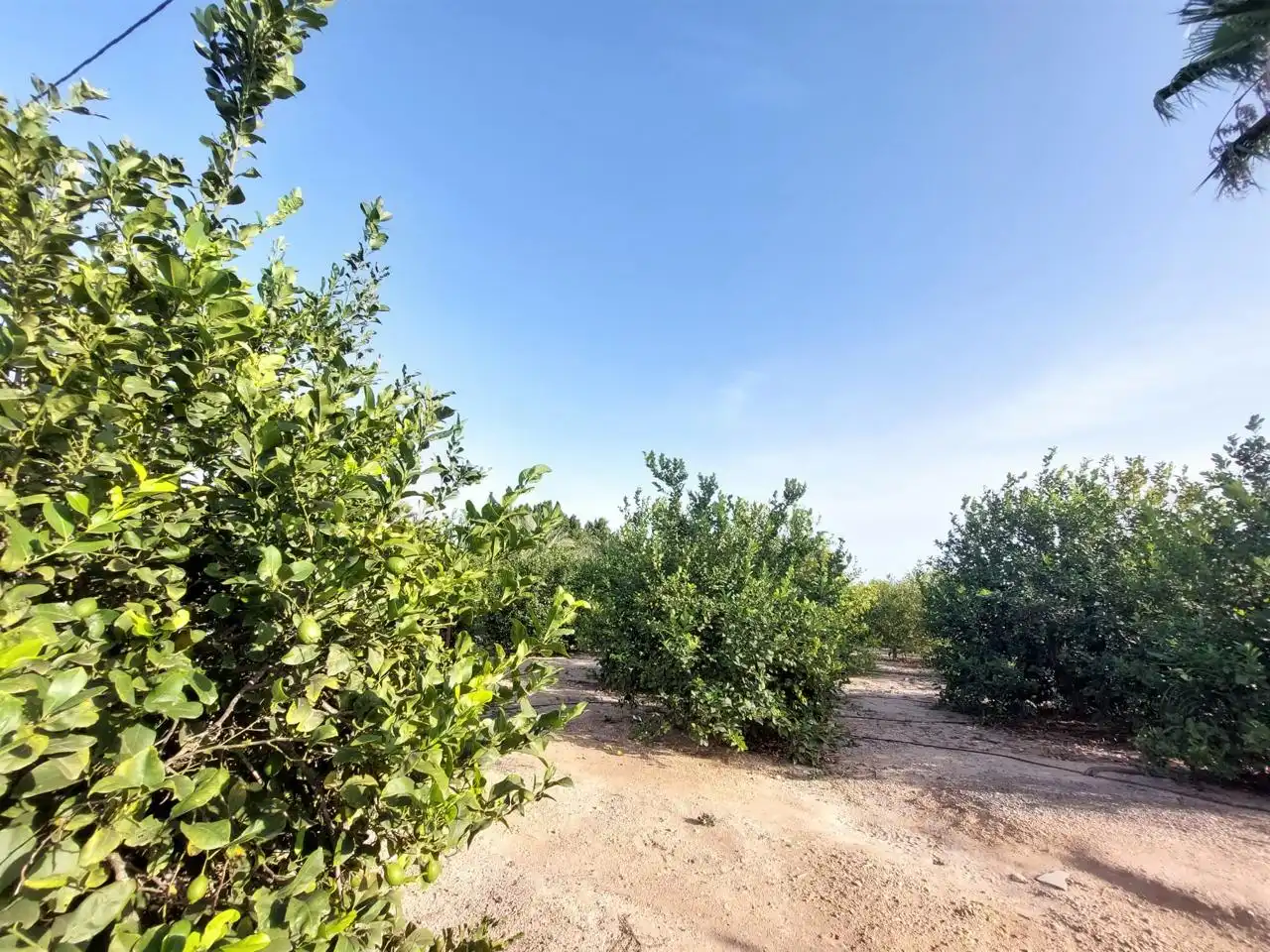 Residencial en venta en Elche / Elx