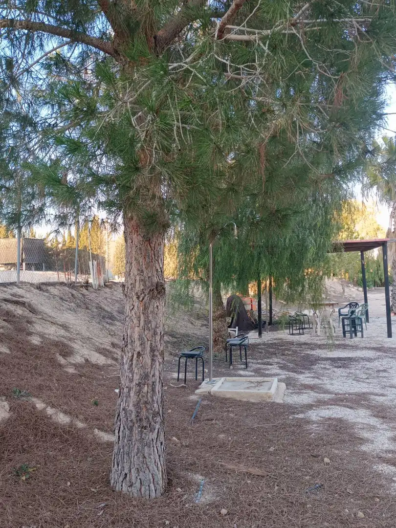 Terraza de Casa o chalet en venta en Molina de Segura con Aire acondicionado, Calefacción y Jardín privado