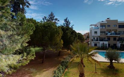 Jardí de Apartament en venda en Oliva amb Calefacció, Terrassa i Piscina comunitària