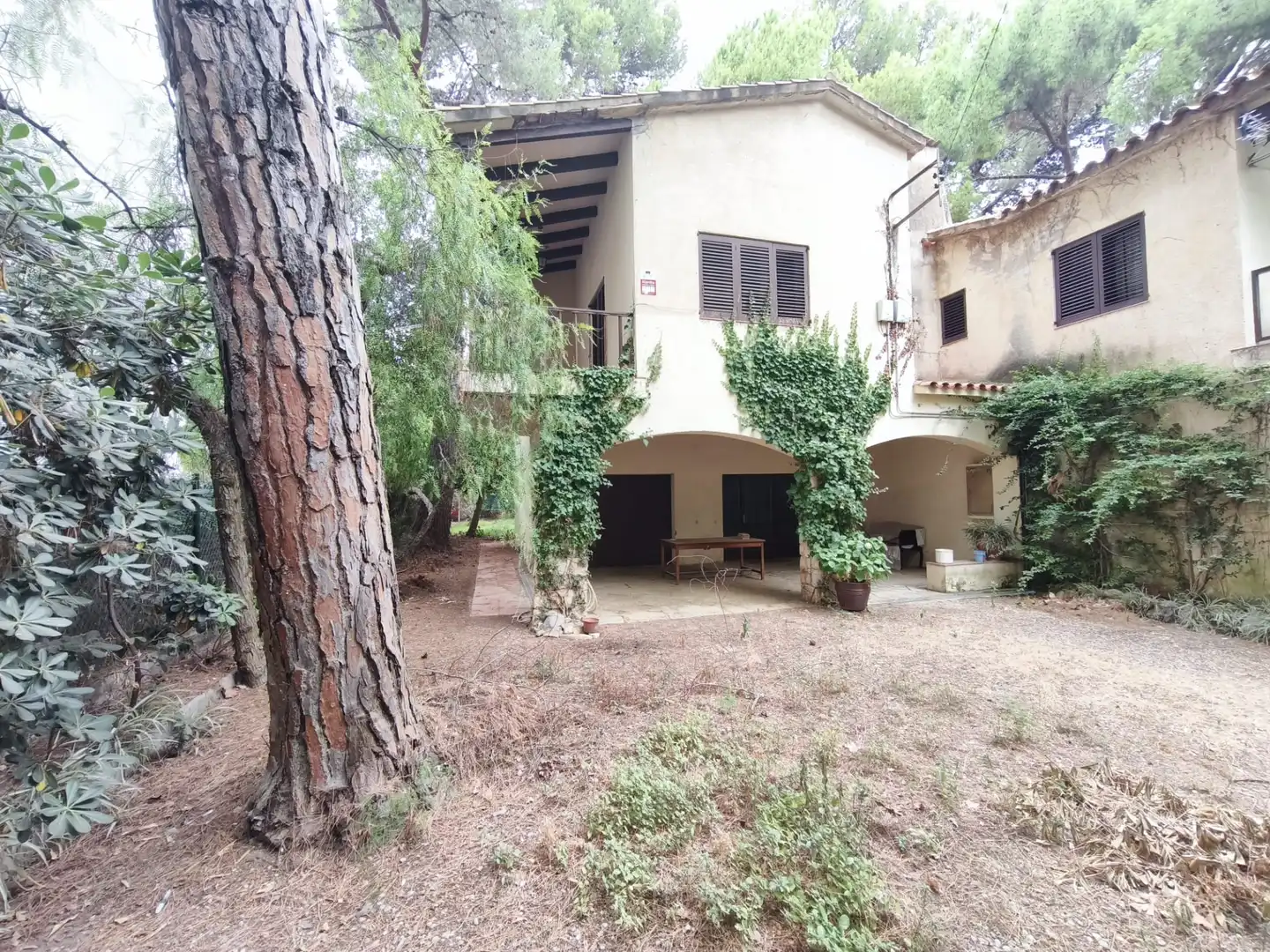 Vista exterior de Casa o chalet en venta en Salou con Calefacción, Jardín privado y Terraza