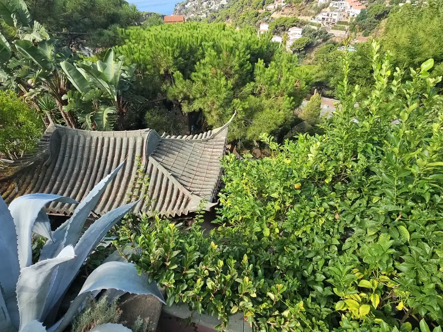 Jardín de Casa o chalet en venta en Lloret de Mar con Aire acondicionado, Jardín privado y Terraza