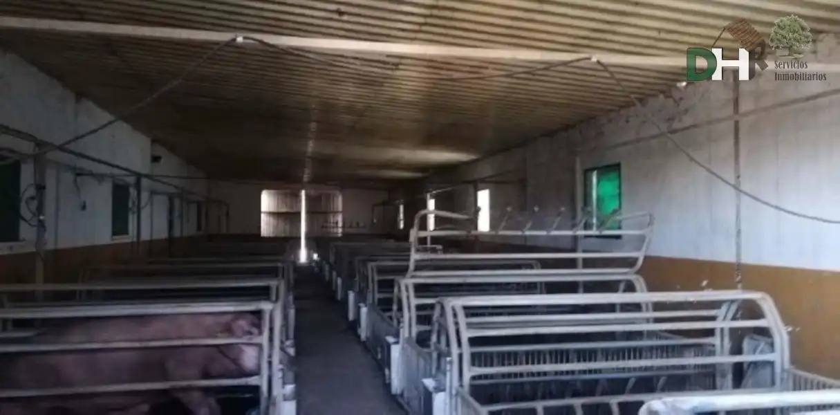 Terreni e lotti in vendita a El Carmen - Cardeñas, imagen 10