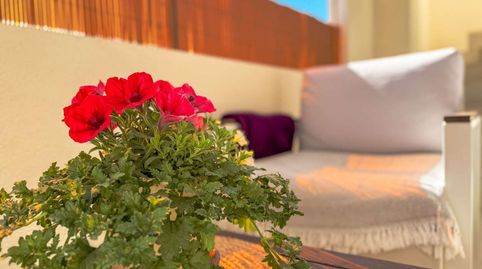 Foto 2 de Apartament en venda a N/a, Los Balcones - Los Altos, Torrevieja