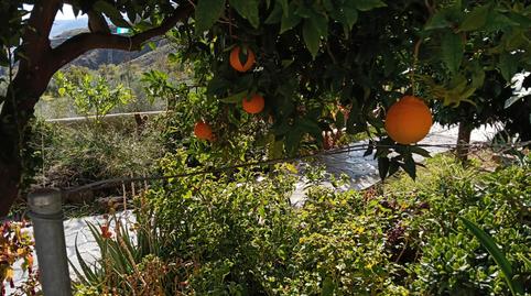 Photo 5 of House or chalet to rent in Plaza de la Almazara, 2, Alpujarra de la Sierra, Granada