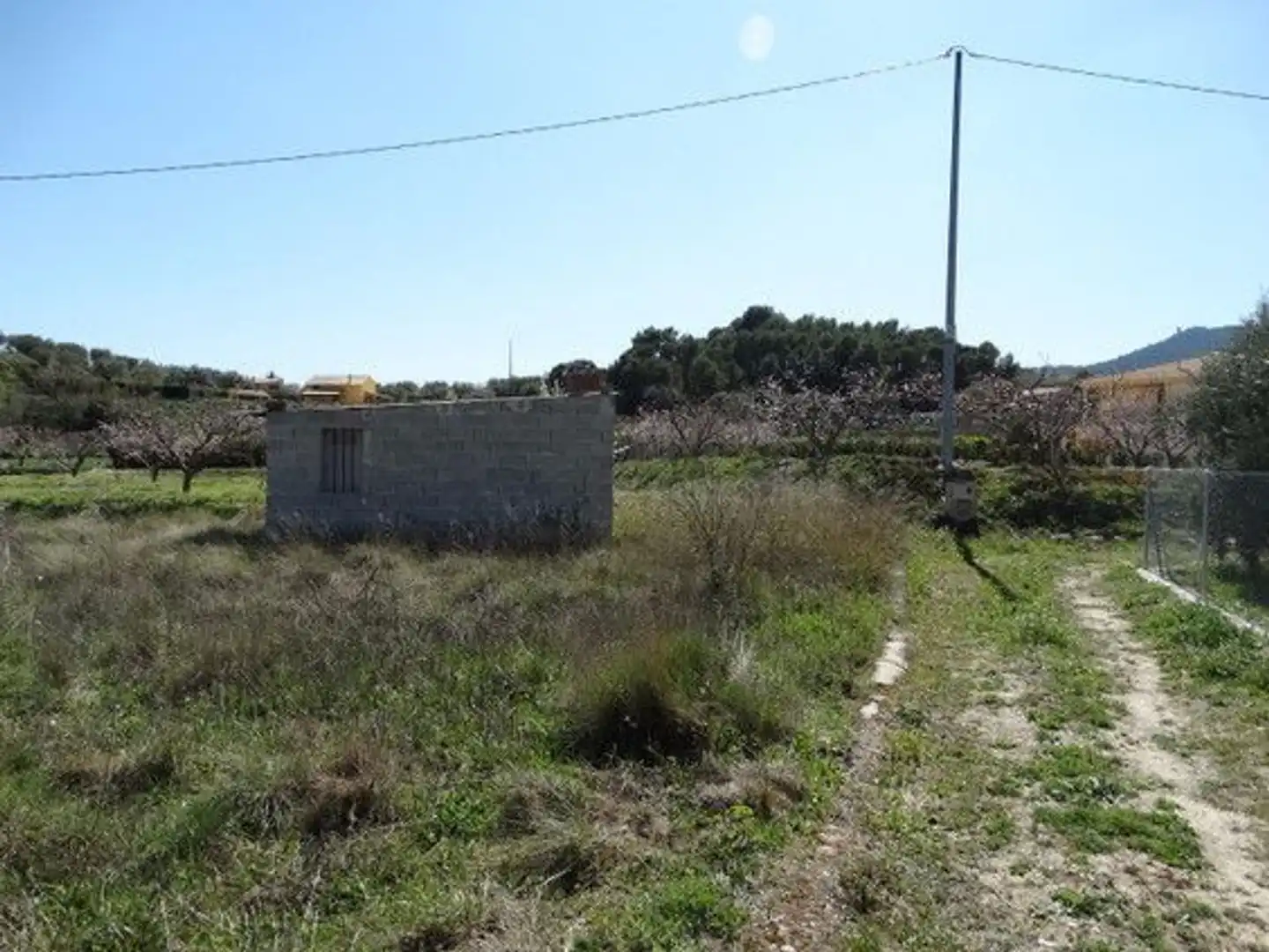 Terreny rústic en venda a Moratalla, imagen 3