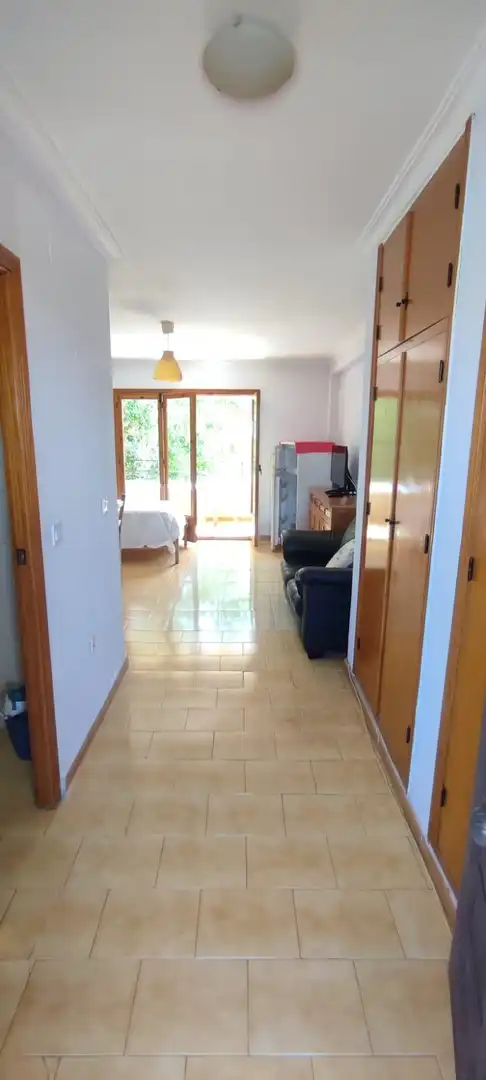 Estudi amb terrassa en venda a Nueva Torrevieja - Aguas Nuevas, imagen 4