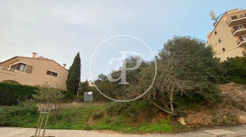 Photo 3 of Residential for sale in Carrer del Puig de Pollença, -1, La Bonanova, Illes Balears
