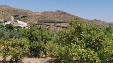 Foto 3 de Finca rústica en venta en Calle Almeria, 42, Lubrín, Almería