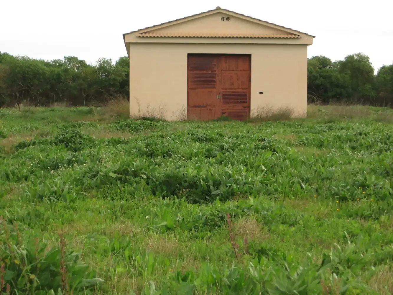 Finca rústica en venta en  Palma de Mallorca con Aire acondicionado, Calefacción y Jardín privado