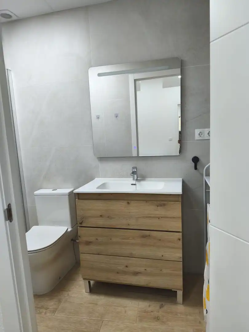 Bathroom of Ground floor for sale in Elche / Elx  with Air Conditioner, Parquet flooring and Furnished