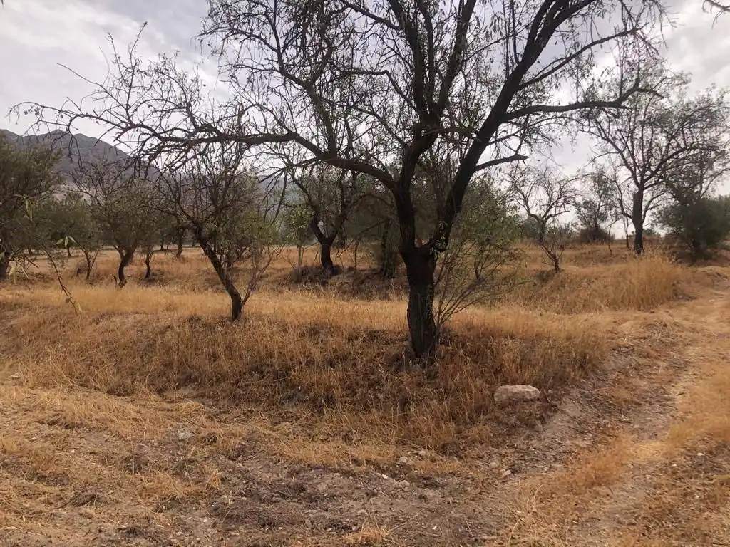 Rural land for sale in Dúrcal, imagen 4