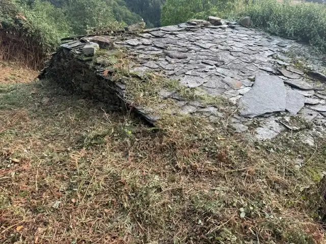 Außenansicht von Country house zum Verkauf in Castropol