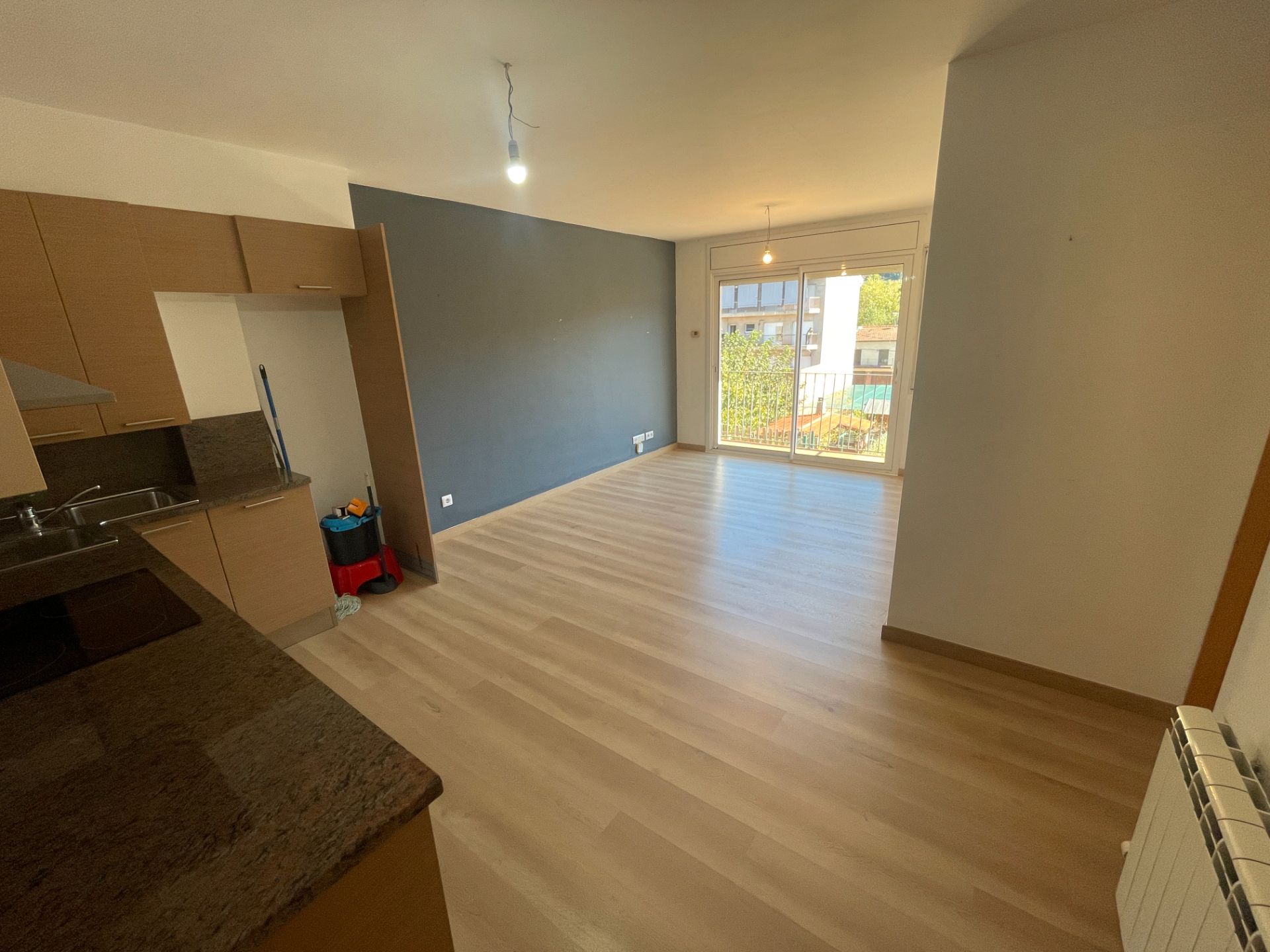 Sala de estar de Piso en venta en Olot con Calefacción