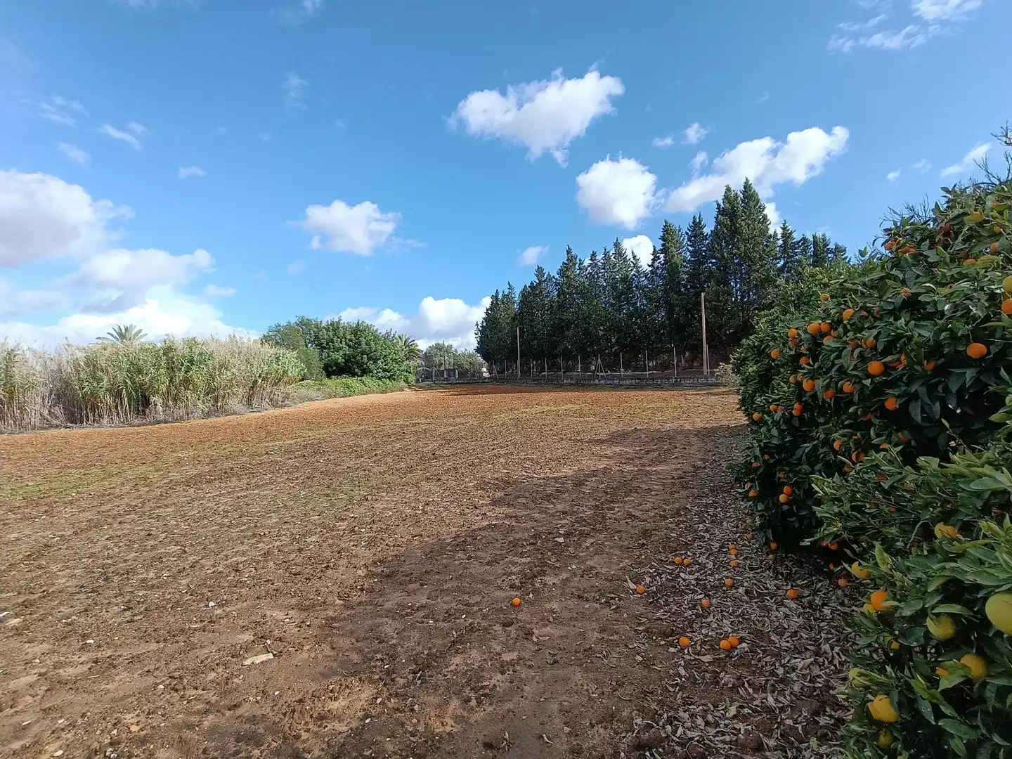 Finca rústica en venda en Jerez de la Frontera