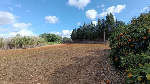 Foto 2 de Finca rústica en venda a Parque Atlántico - Ronda este, Jerez de la Frontera
