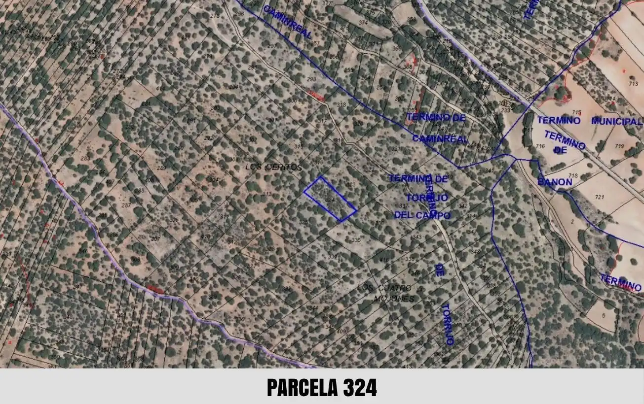 Terreno en venta en Torrijo del Campo