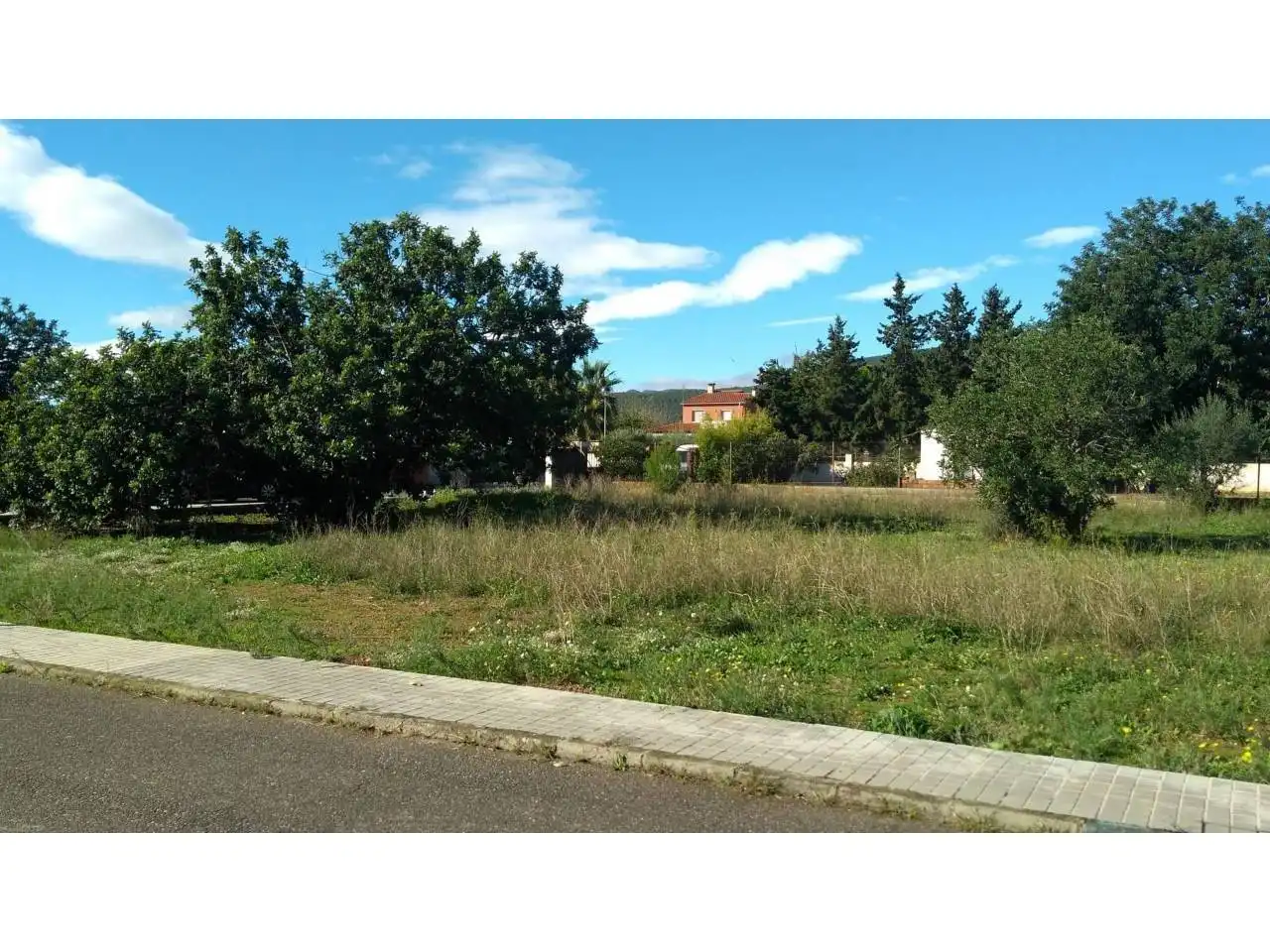 Terreno residencial en venta en Calle del blat, imagen 2