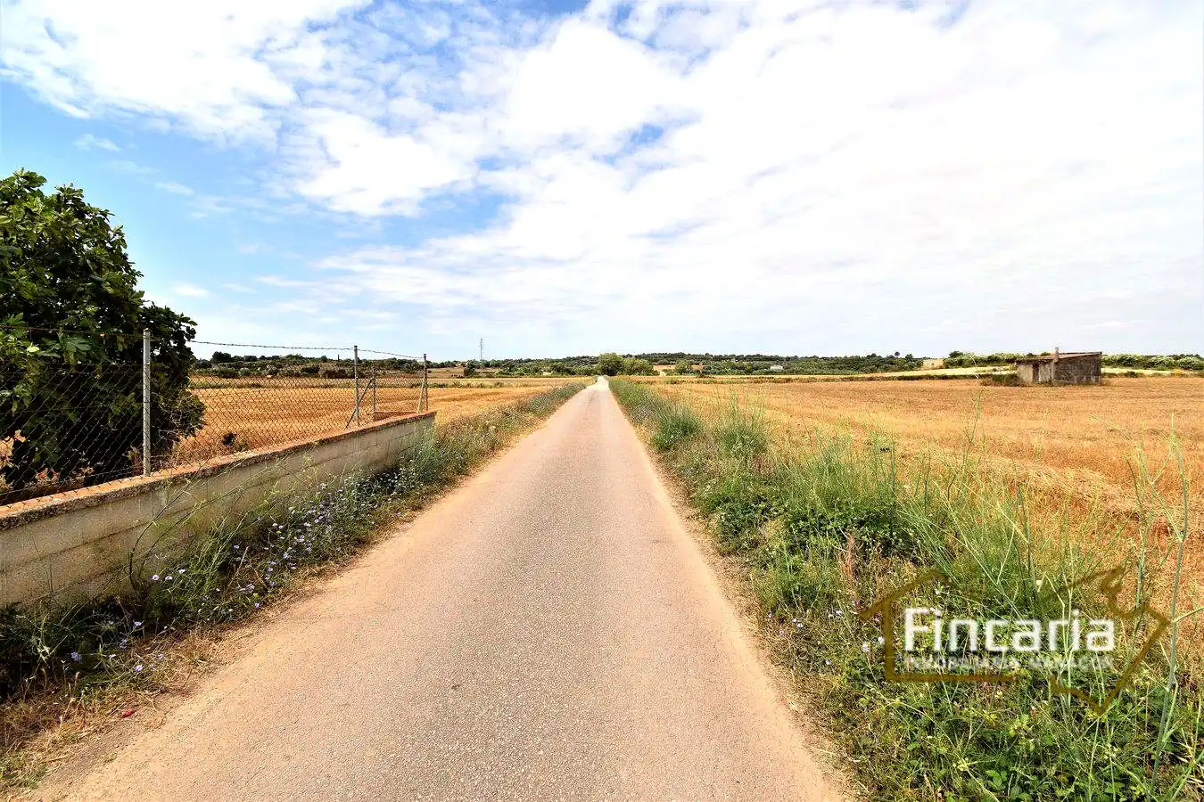Rustikales Grundstück zum Verkauf in Camí son Moix, imagen 13