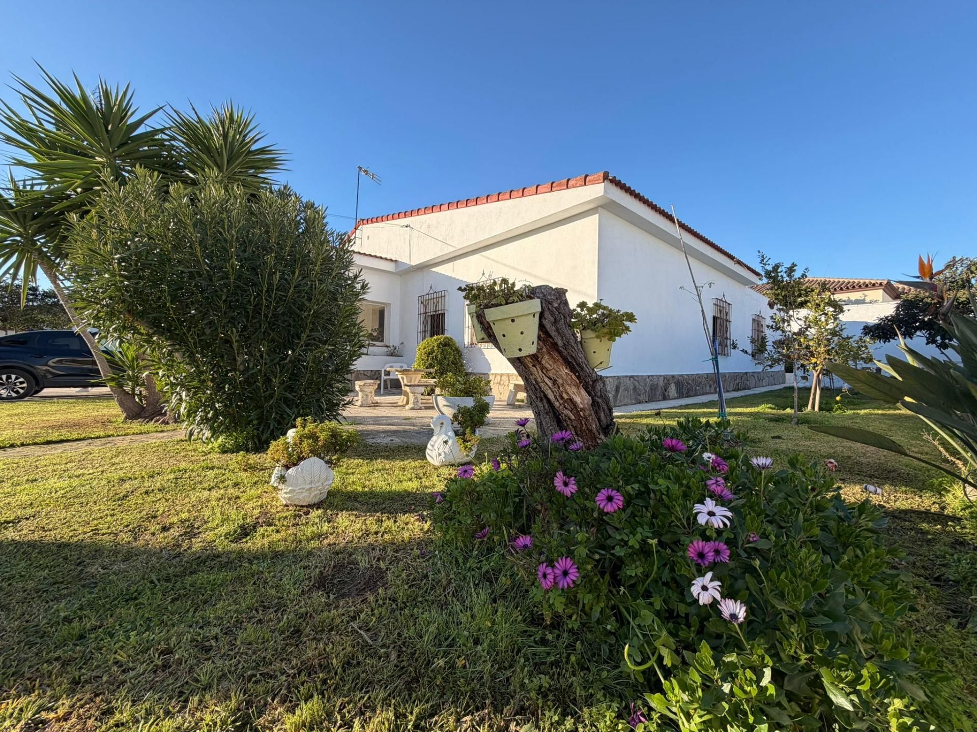 Vista exterior de Casa o xalet en venda en Chiclana de la Frontera amb Jardí privat, Piscina i Moblat