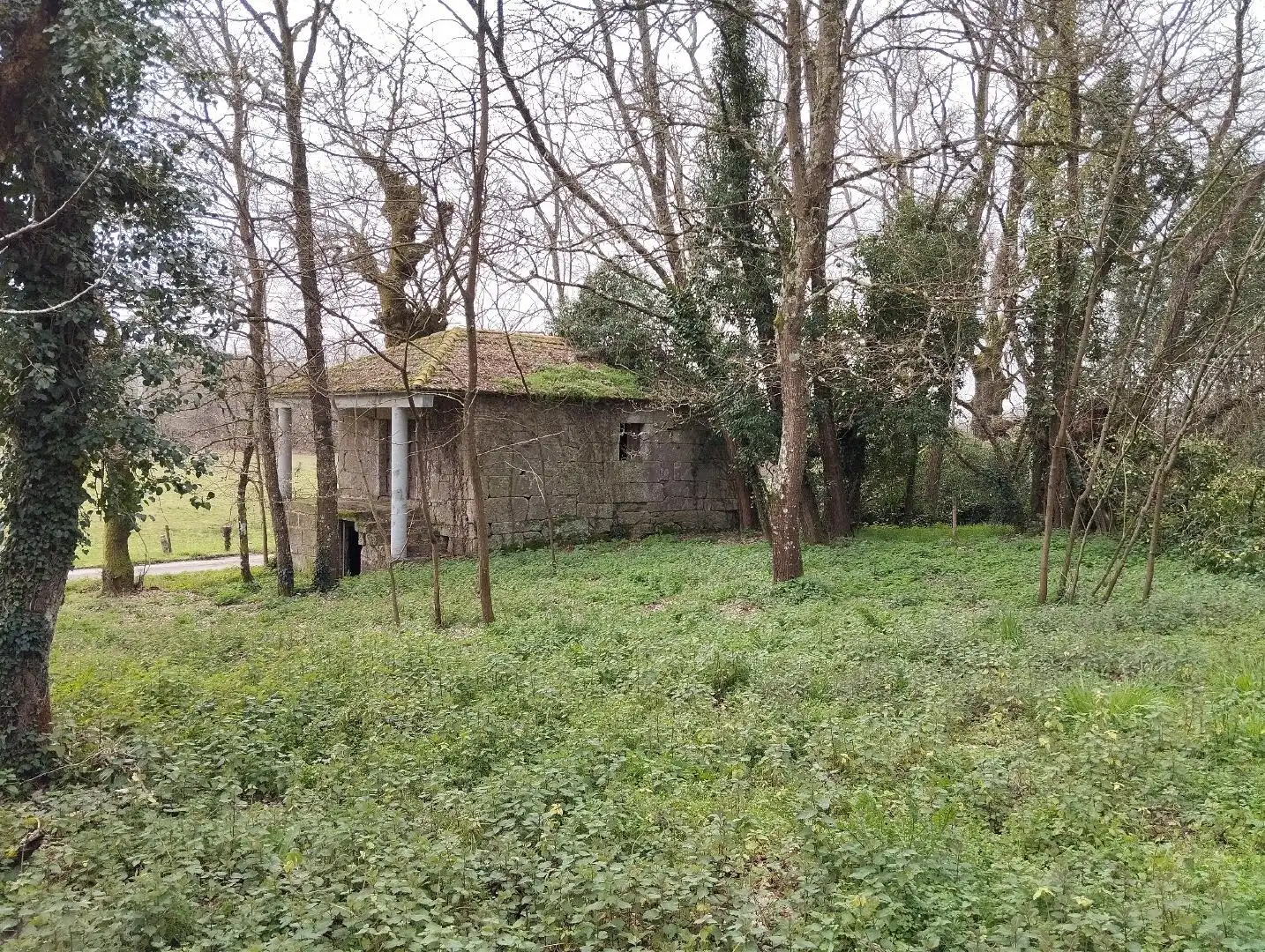 Haus zum Verkauf in Nogueira de Ramuín, imagen 5