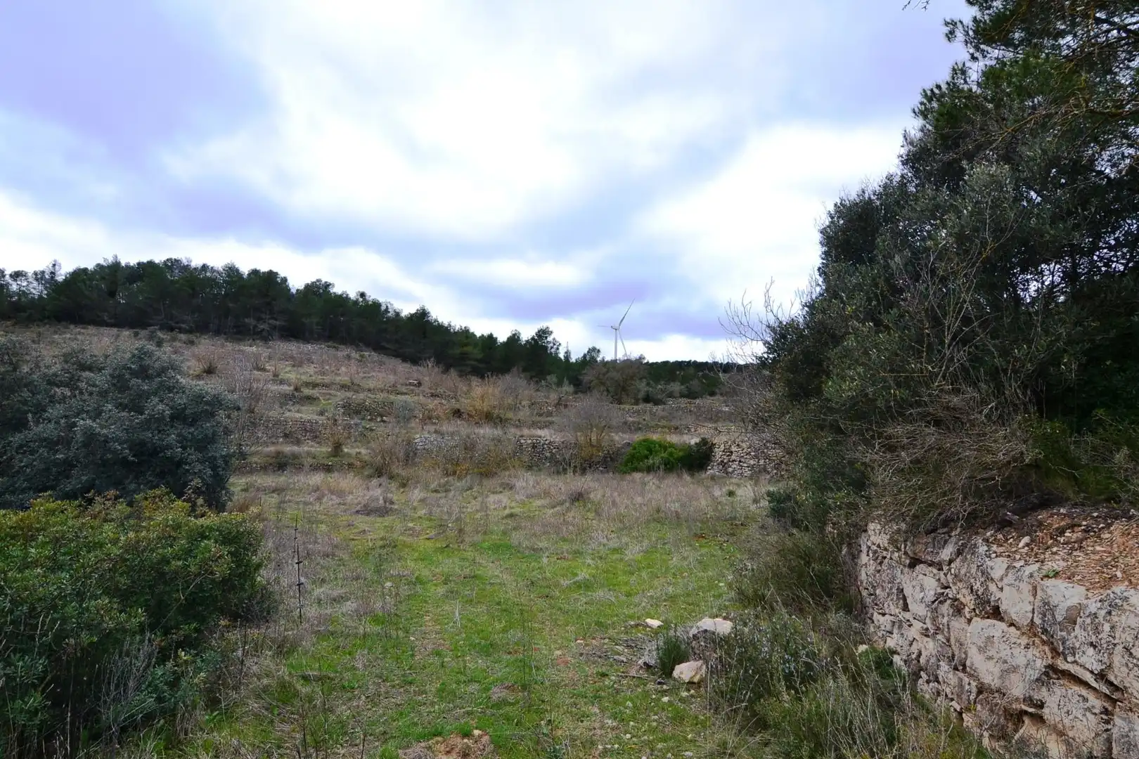 Terreno en venta en Vilalba dels Arcs