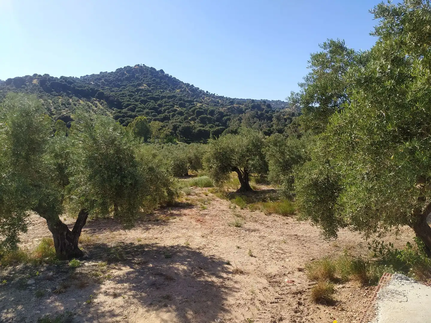 Terreni e lotti in vendita a Villanueva de la Reina, imagen 4