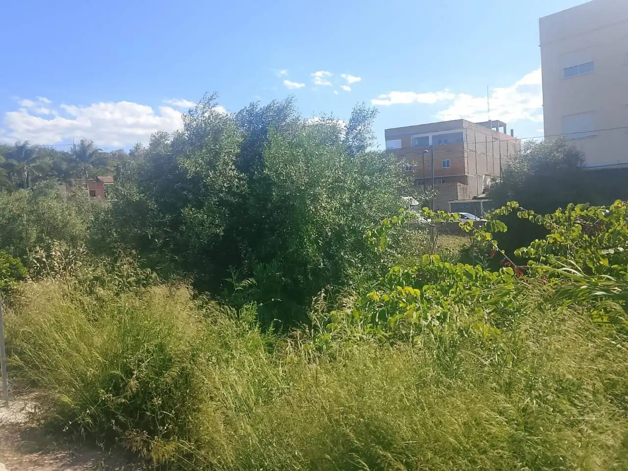 Wohnbaugrundstück zum Verkauf in Calle Valldigna, imagen 4