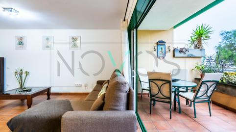 Photo 4 of Flat to rent in Zona Botánico, Puerto de la Cruz