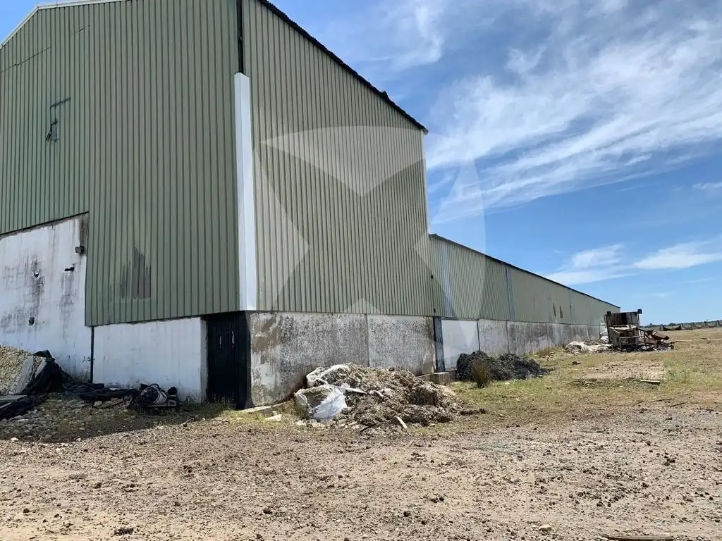 Industrial buildings for rent in Olivenza, Olivenza