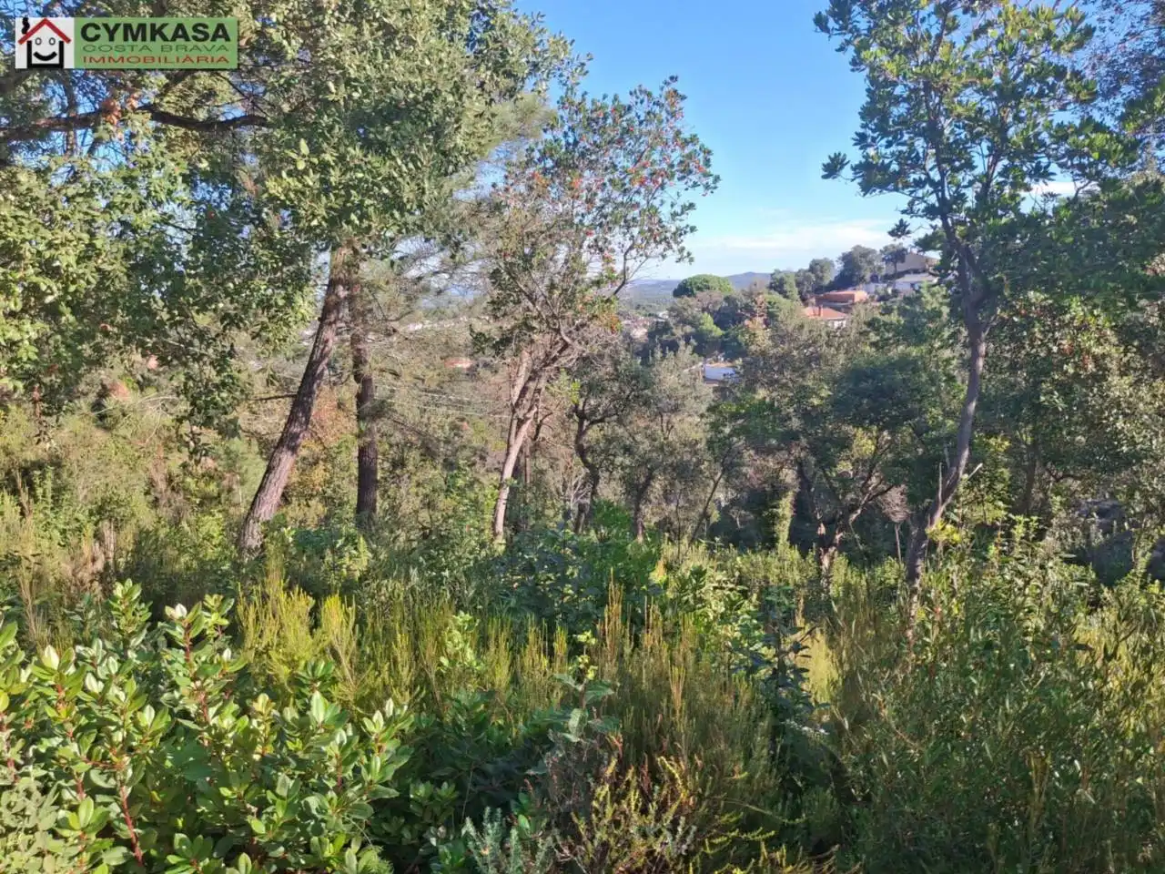 Residential land for sale in Montbarbat, imagen 3