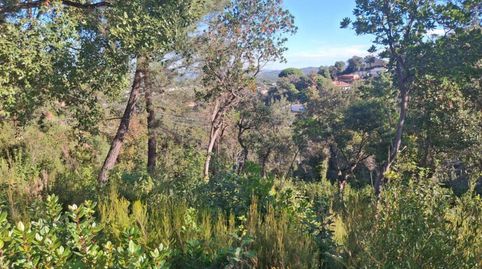 Foto 3 de Residencial en venda a Montbarbat, Maçanet de la Selva