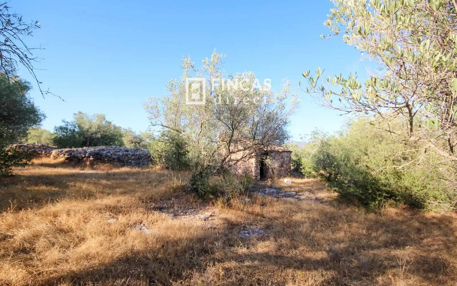 Country homes for sale in Xerta
