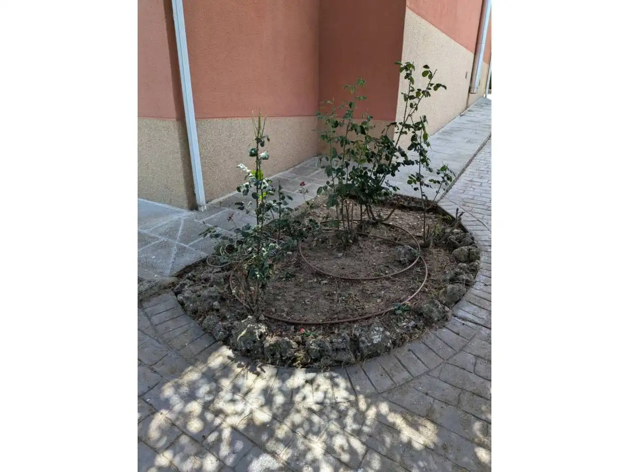 House with garden for sale in Calle Dehesa, imagen 59