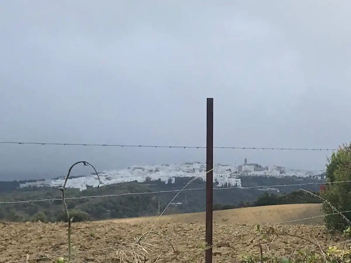 Terreny rústic en venda a Vejer, imagen 7