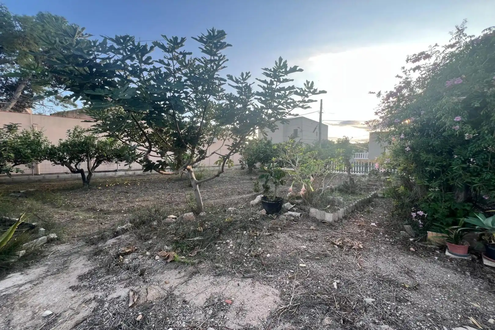 Casa amb jardí en venda a Deltebre, imagen 11