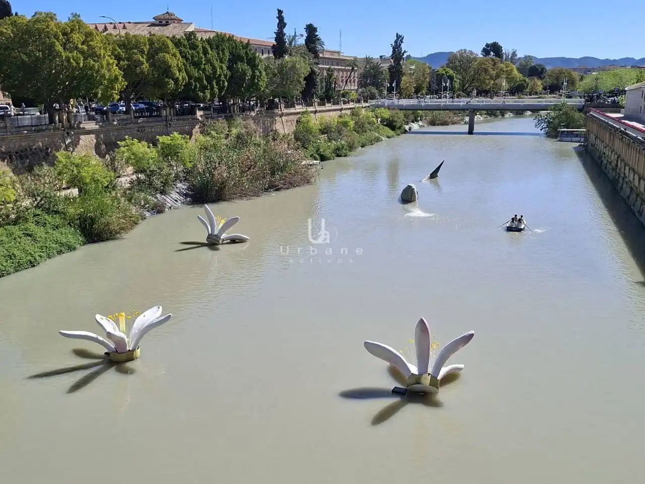 Jardín de Piso en venta en Murcia con Aire acondicionado y Trastero