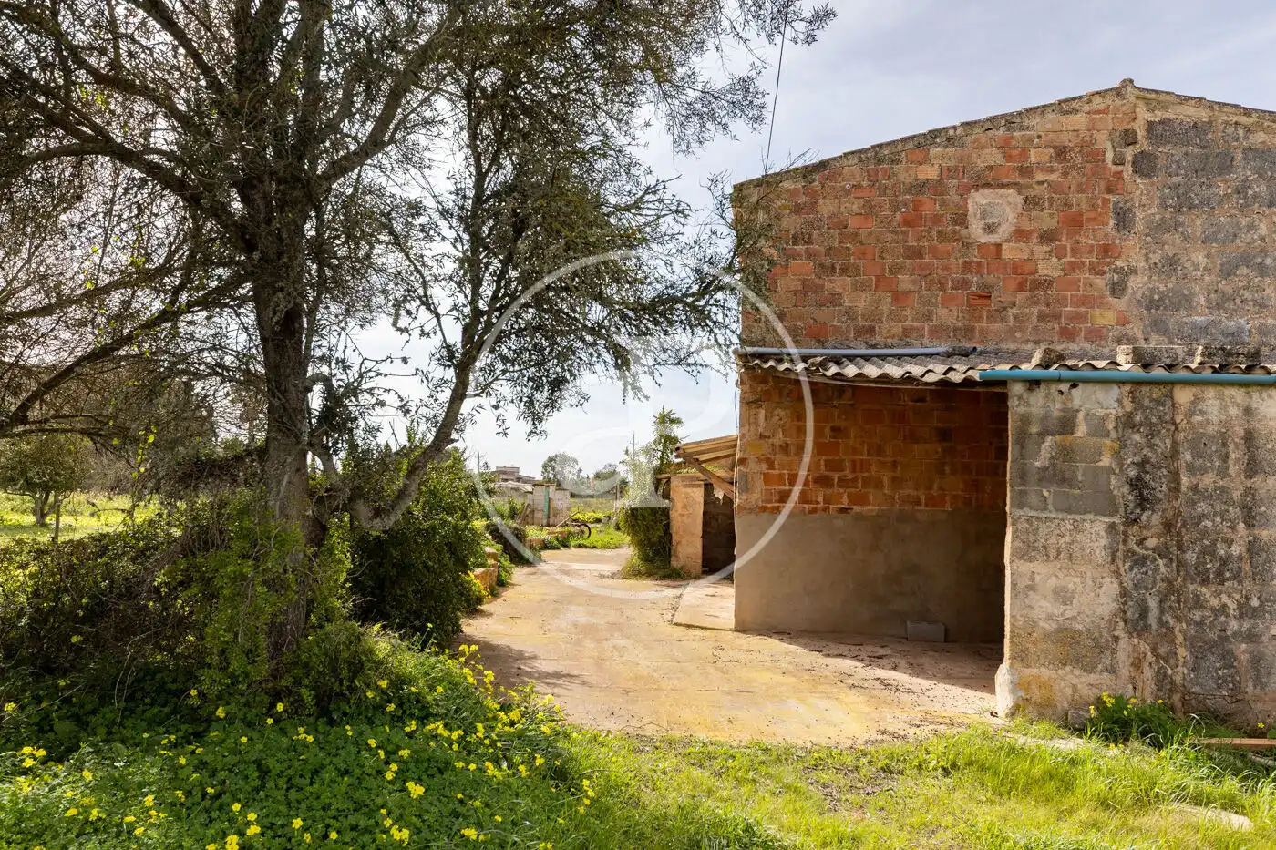 Vista exterior de Finca rústica en venta en Campos con Jardín privado y Trastero