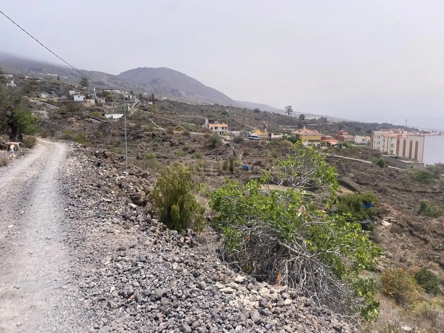 Terreno rústico en venta en Guía de Isora, Spain, imagen 12