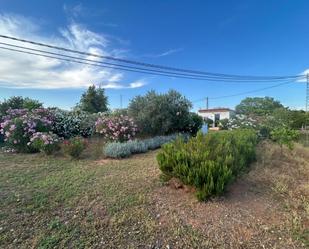 Garden of Residential for sale in Dos Hermanas
