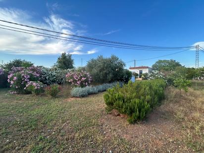 Jardí de Residencial en venda en Dos Hermanas