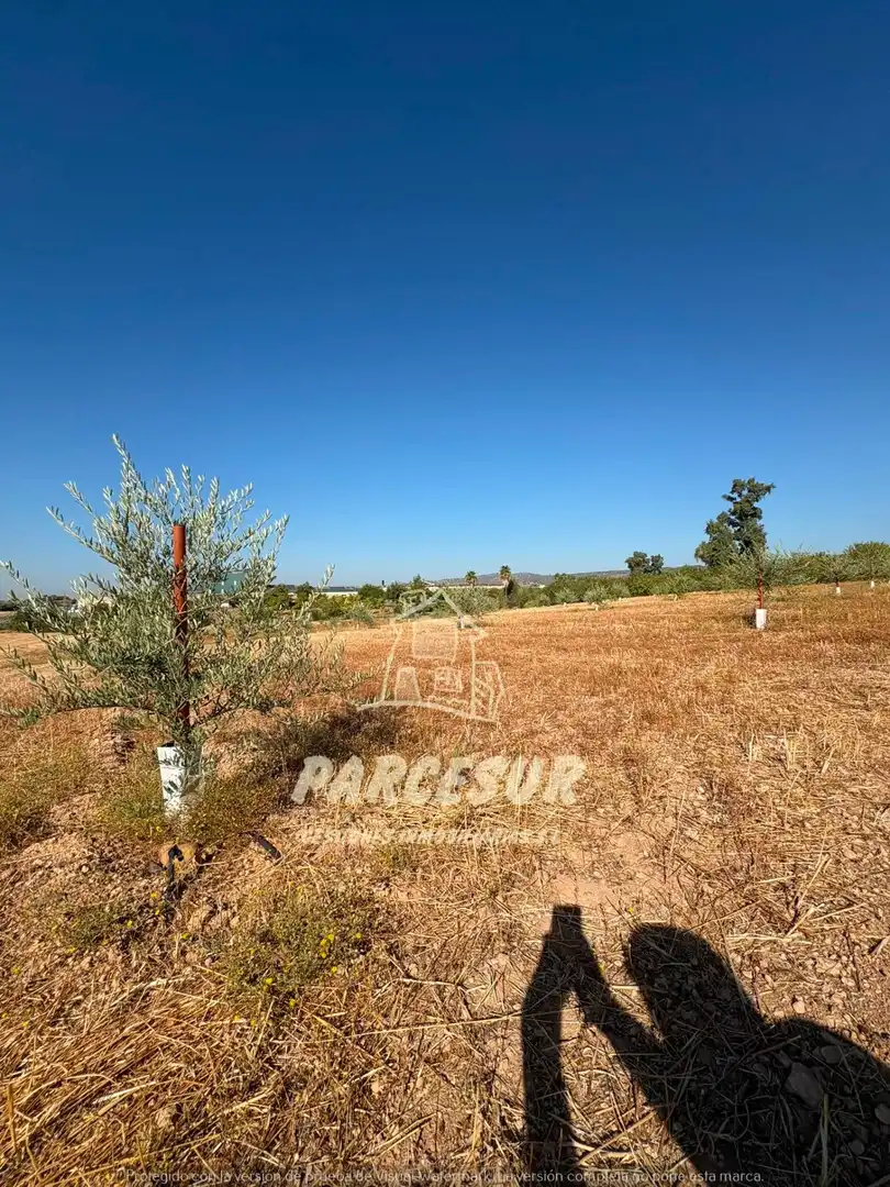 Terreno rustico in vendita a Periurbano Oeste - Sierra, imagen 8
